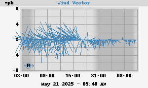 Wind Vector